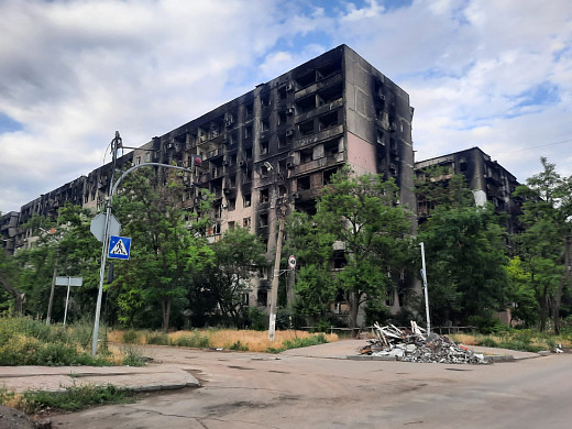 Ивановцы продолжают вывозить кошек из Мариуполя